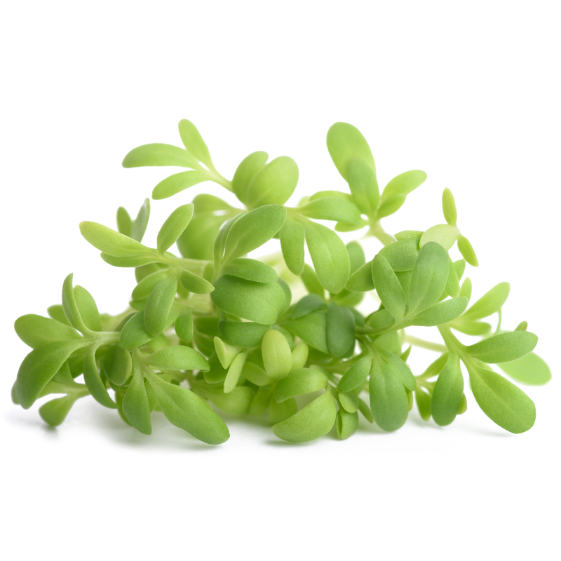 Cress 1 bunch - London Grocery