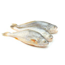Frozen Croaker Box 160kg | London Grocery