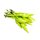 Fresh Thai Dok Pak Dew (Moon Flower) 100gr-London Grocery