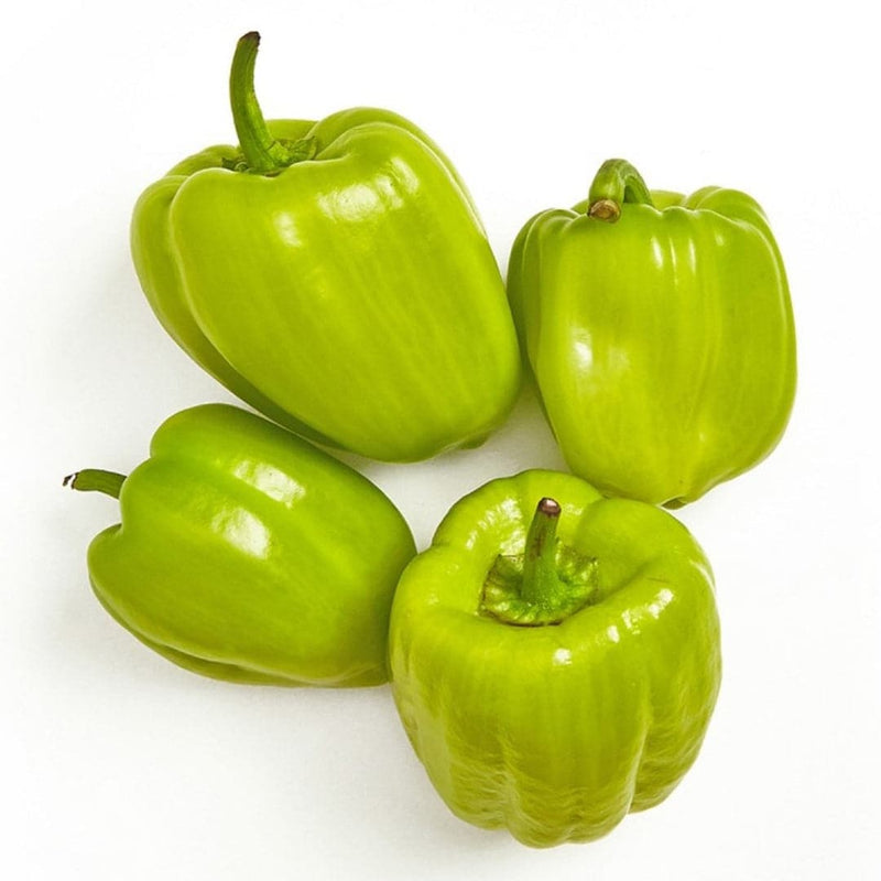 Green Turkish Sweet Bell Peppers 10 pieces - London Grocery