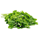Blue Jay Thai Fresh Drum Stick Leaves 100gr-London Grocery