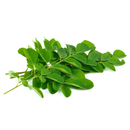 Drumstick Leaves - London Grocery