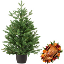 Real and Live Christmas Tree 5/6 ft with Whole Duck Hamper Gift Box-London Grocery