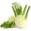 Fennel 1 bunch - London Grocery