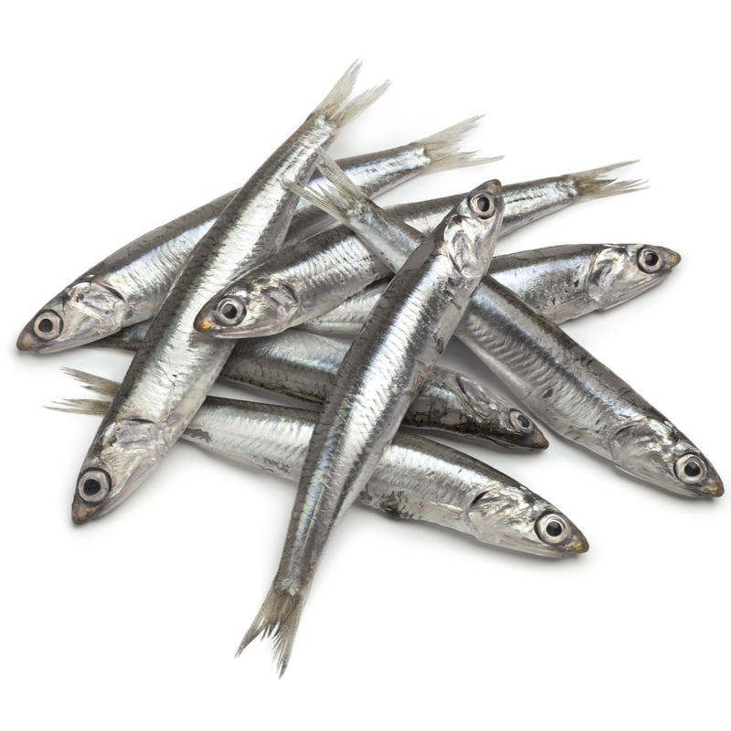 Fresh Anchovies - London Grocery