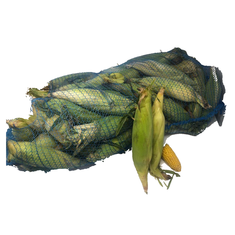 Bag of Fresh Corn on the Cob 50 units | Husk On - London Grocery