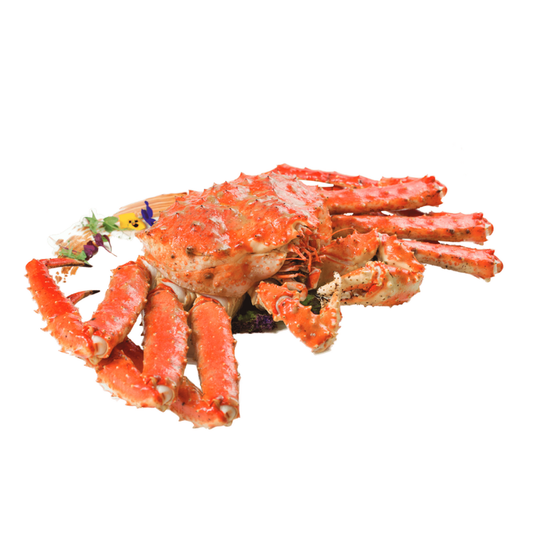 Live King Crab 5kg | London Grocery