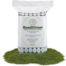 Friendship Estates ReadiGrass 15Kg Bale - London Grocery