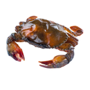 Frozen Soft Shell Crab -London Grocery