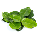 BDMP Frozen Lime Leaves 100 gr - London Grocery