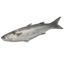 Grey Mullet 1 kg - London Grocery