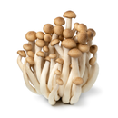 Fresh Hai Me Koe Mushrooms (Brown Shimeji) 150gr -London Grocery
