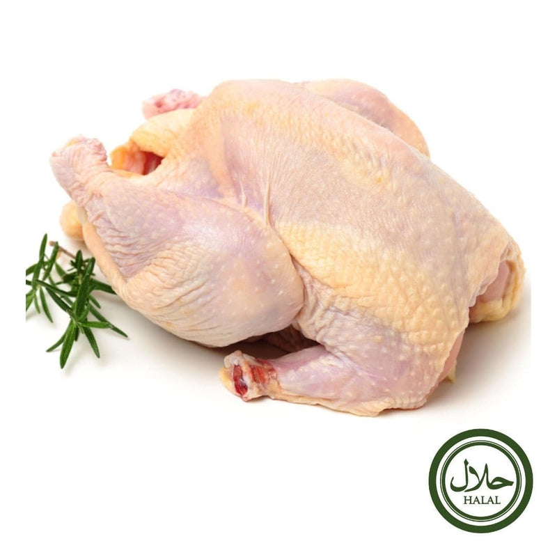 Halal Hen Chicken Whole ~ 1.4kg - London Grocery