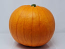 Extra Large Fresh Pumpkin for Halloween Carving | 8-10kg - London Grocery