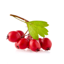 Hawntorn 60gr - London Grocery