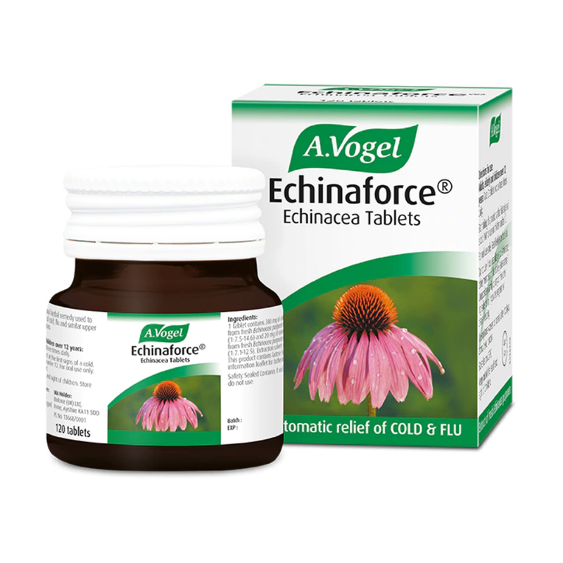 A.Vogel Echinaforce 120 Tablets | London Grocery