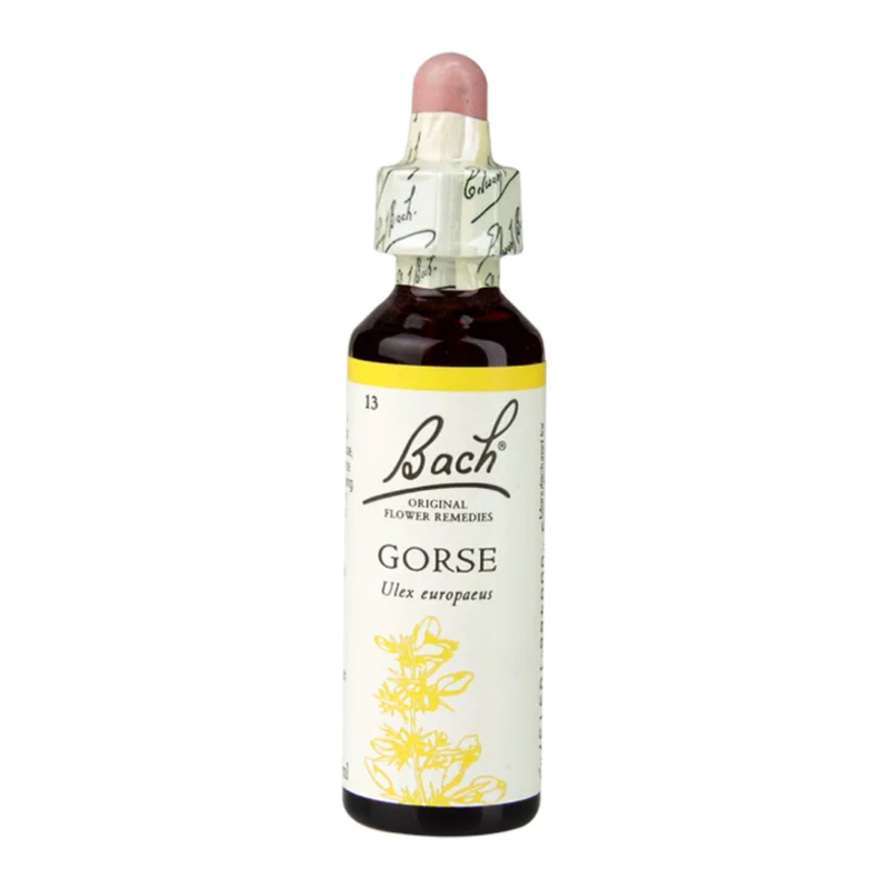 Bach Original Flower Remedies Gorse 20ml | London Grocery