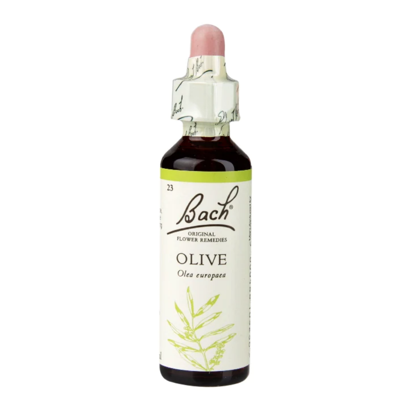 Bach Original Flower Remedies Olive 20ml | London Grocery