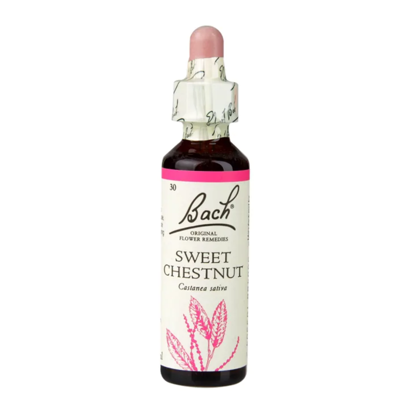 Bach Original Flower Remedies Sweet Chestnut 20ml | London Grocery