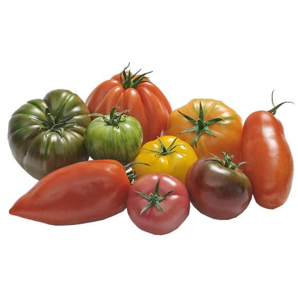 Fresh Heritage Tomatoes 3.5kg-London Grocery