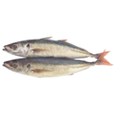 Jackfish - London Grocery