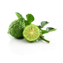 Kaffir Lime ~12 unit 500gr - London Grocery