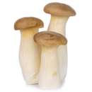 King Oyster Mushroom 5 Units - London Grocery
