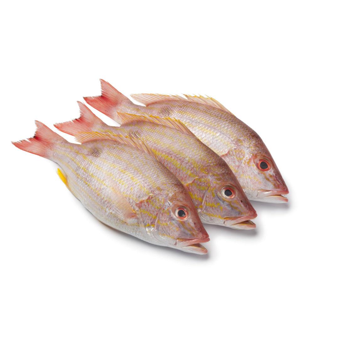 Buy Lane Snapper Box Wholesale | London Grocery