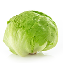 Lettuce 1 pack - London Grocery