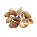 Live Whelks 600Gr-London Grocery