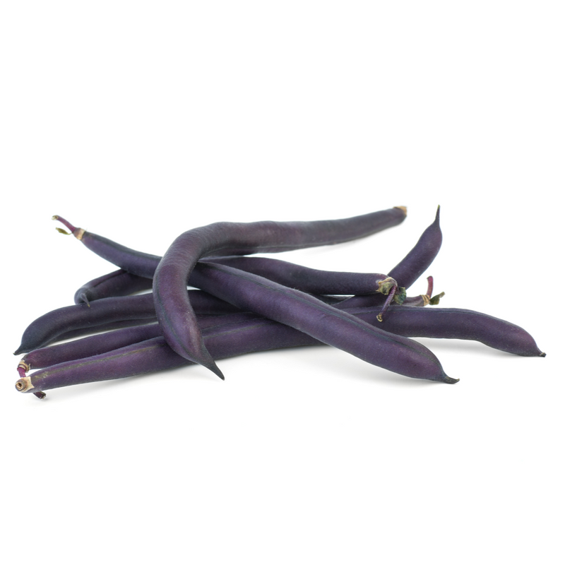 Purple Yard Long Bean - London Grocery