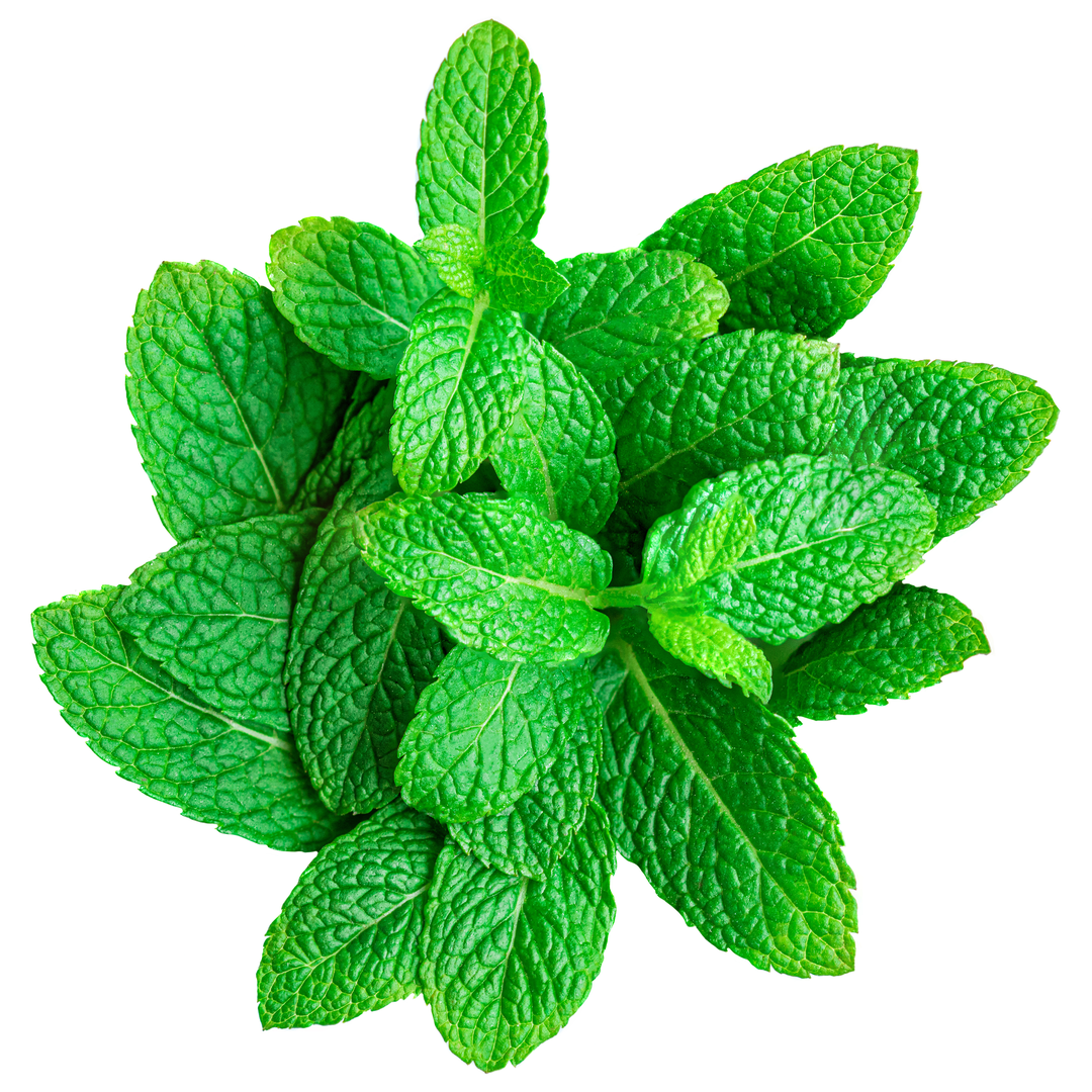 Buy Fresh Mint Leaves Online London Grocery