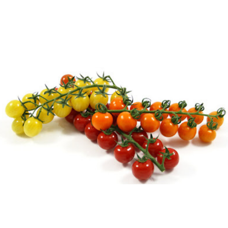 Fresh Mixed Colour Cherry Tomatoes 3kg-London Grocery