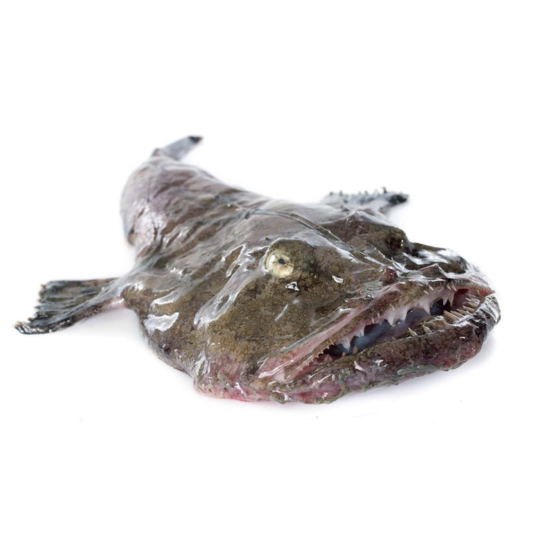 Monk Fish Box 200kg | London Grocery
