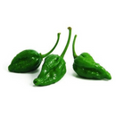 Naga Chilli / Morich Green 250gr - London Grocery