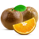 Navel Chocolate Orange - London Grocery