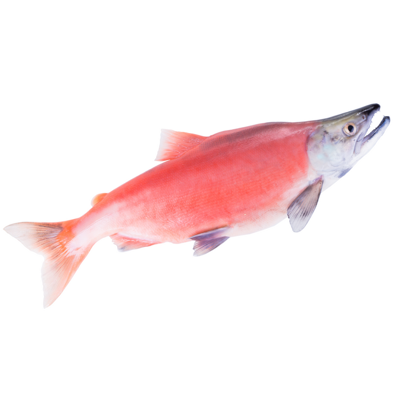 Wild Caught Whole Sockeye Salmon ~3-4kg - London Grocery