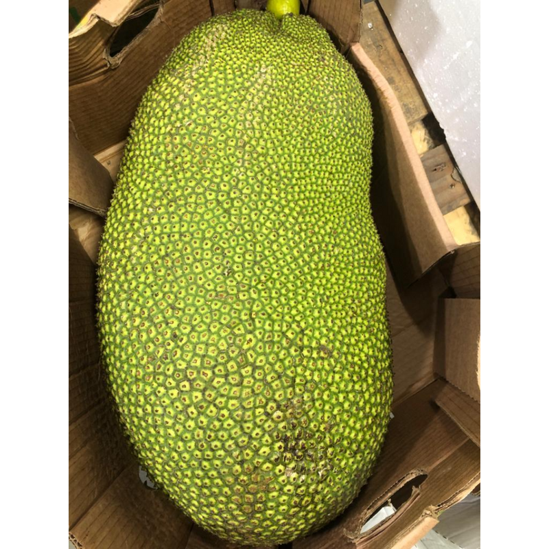 Jackfruit Whole ~10-14 kg - London Grocery