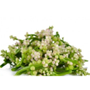 Fresh Thai Nightshade Flower 100gr-London Grocery