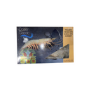 Ocean Classic Frozen Head-on Shell-on Shrimp 1kg-London Grocery