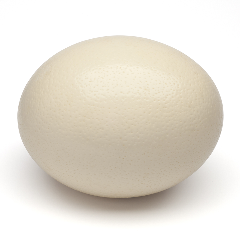 Buy Fresh Ostrich Egg Online with Safe Delivery | London Grocery