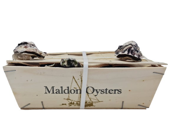 25 Fresh Oysters in Wooden Case - London Grocery