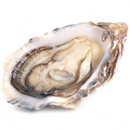 Fresh Oysters x 2 - London Grocery