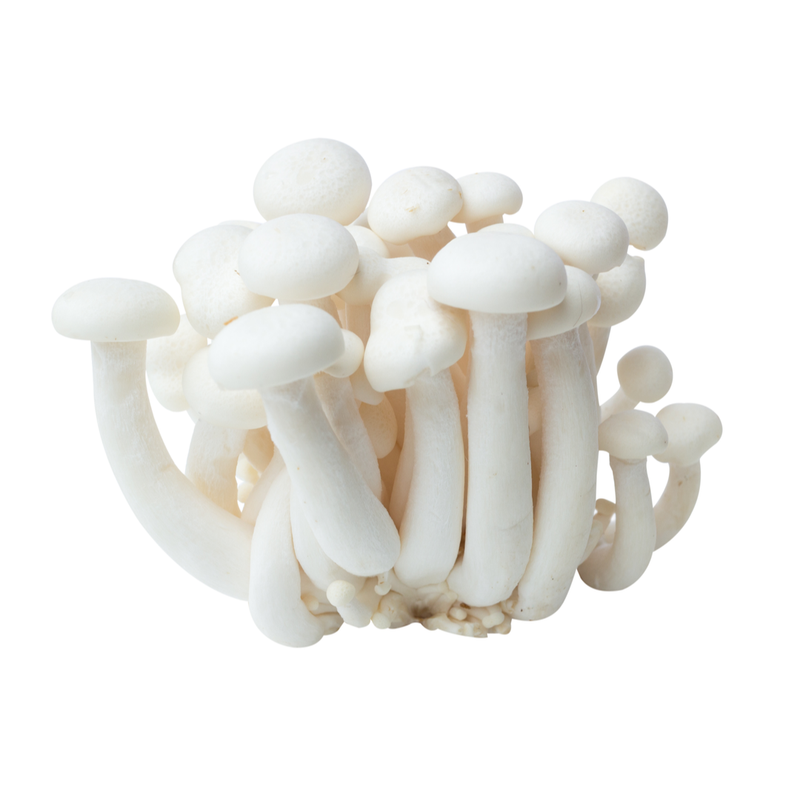 Fresh Pak Yuk Mushrooms (White Shimeji) 150gr  -London Grocery