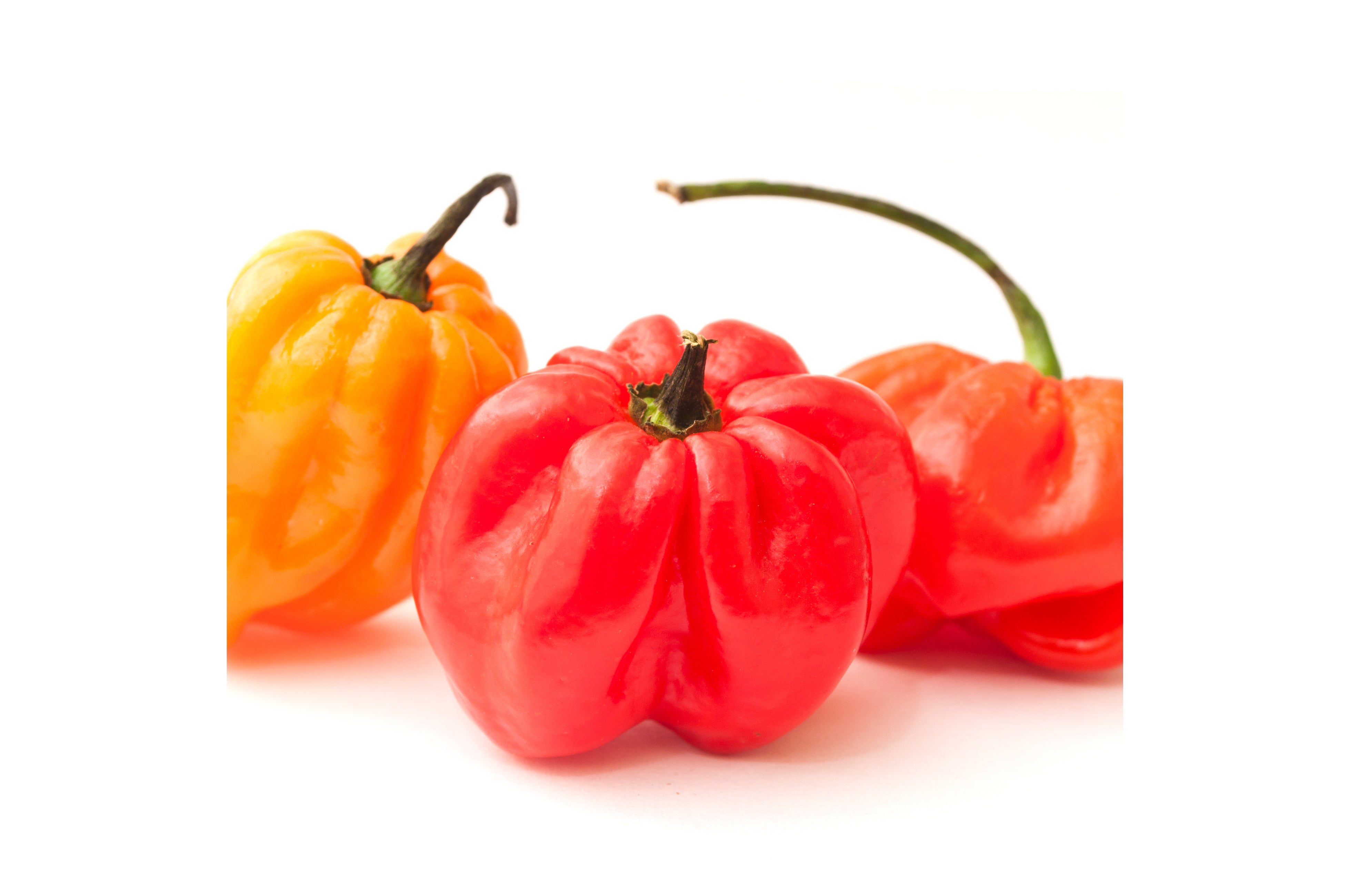 Buy Hot Pepper Online with London Grocery