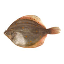 Plaice Box 200kg | London Grocery