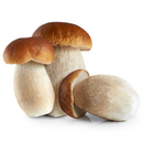 Porcini Mushrooms 250 gr - London Grocery