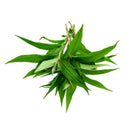 Fresh Thai Praew Leaf (Laksa) 100gr-London Grocery