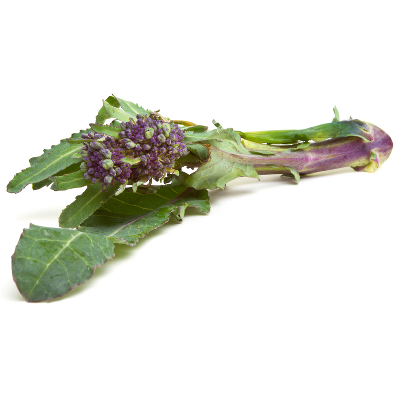 Purple Sprouting Broccoli - London Grocery