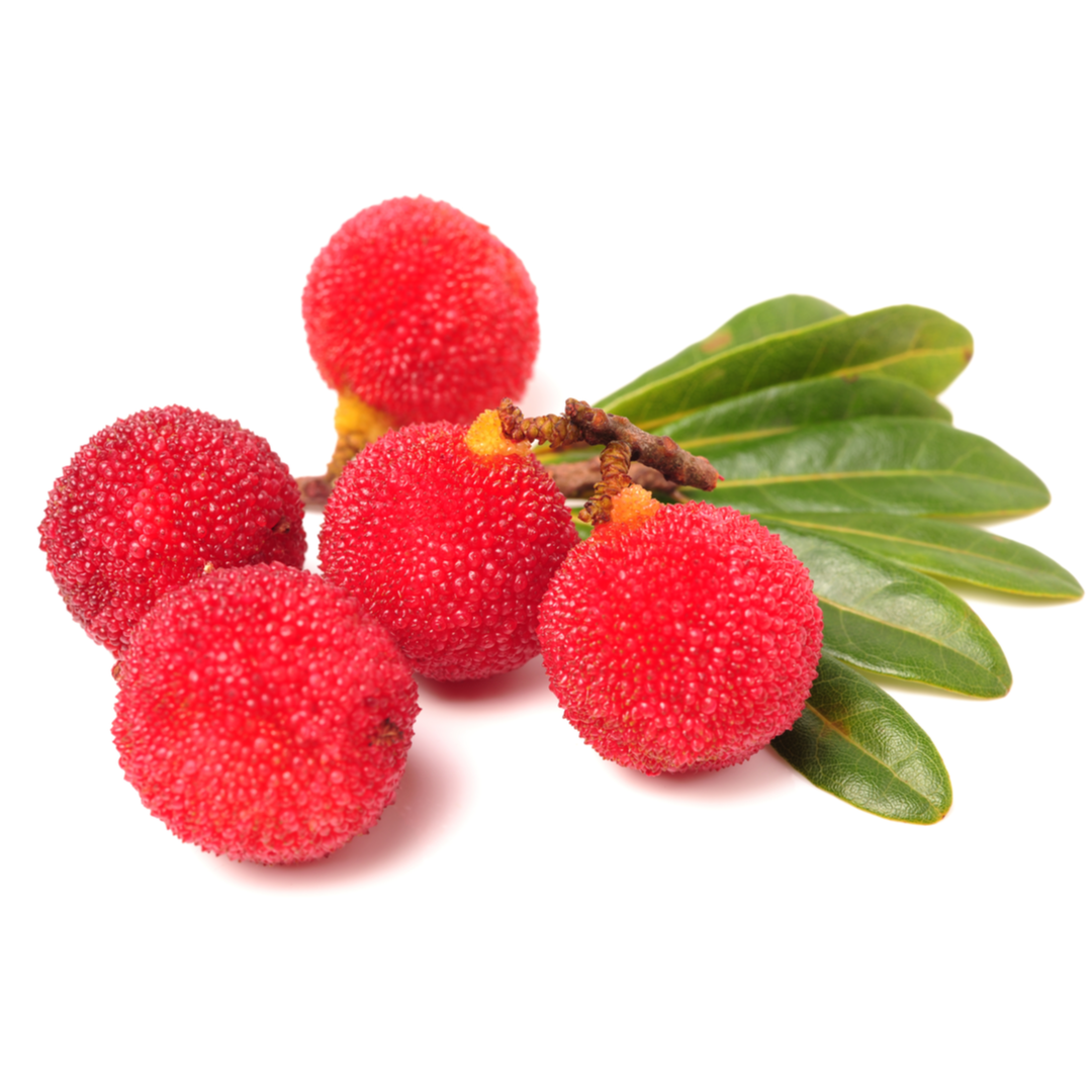 Red Bayberries | London Grocery